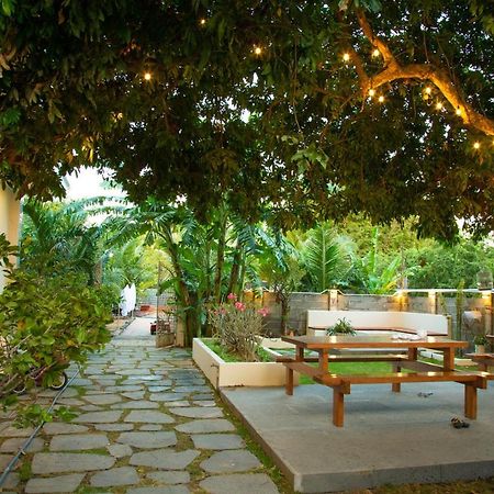 Thanh Thanh Mini Hotel Phan Ri Cua Екстериор снимка